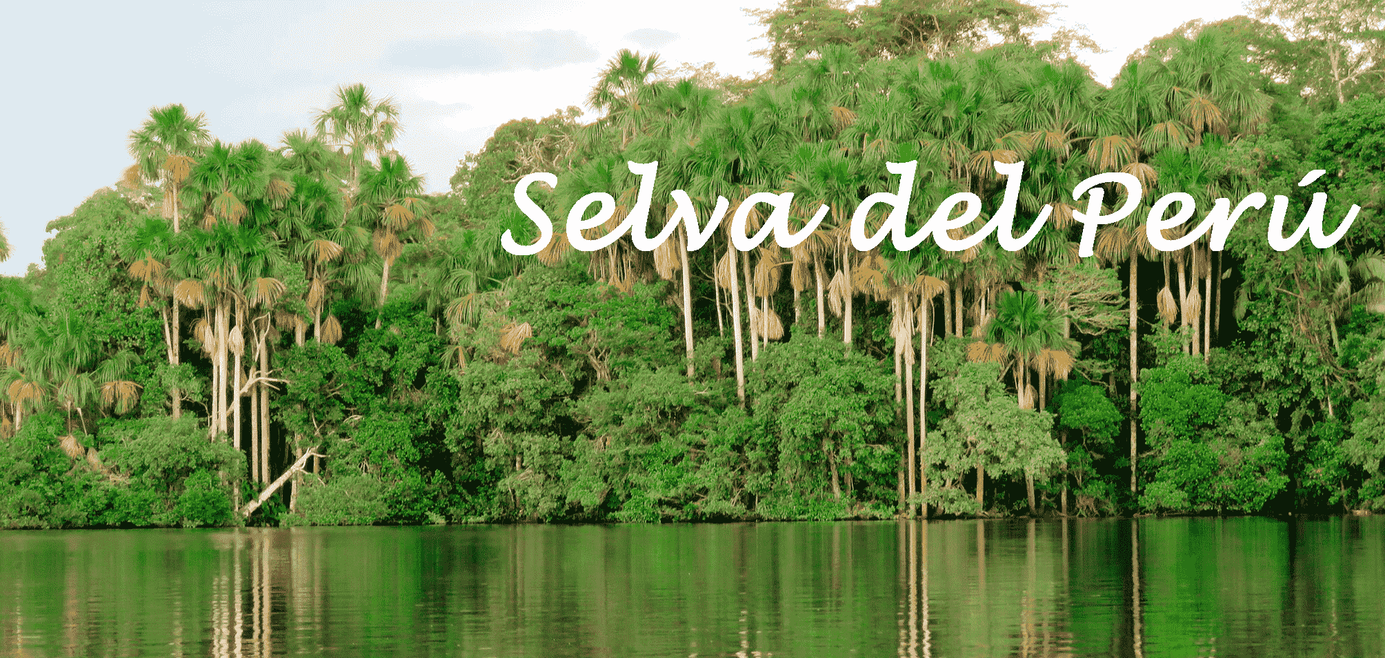 Región Selva